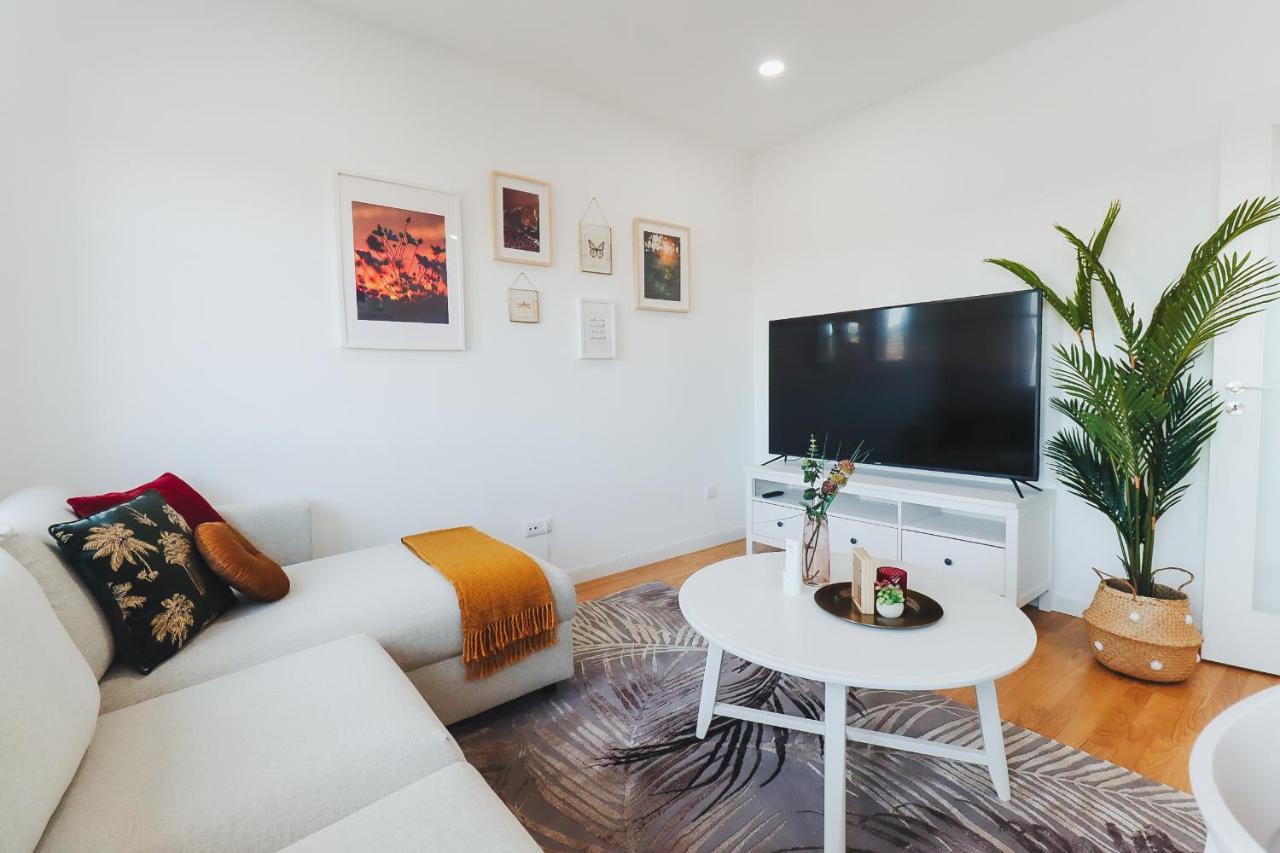 Gabriela Apartament - Perto Do Centro Com Vista Para Santa Luzia 维亚纳堡 外观 照片